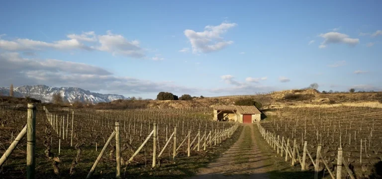Bodega Artadi
