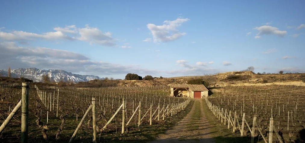 Bodega Artadi
