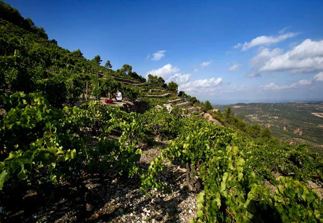 Bodega Espectacle