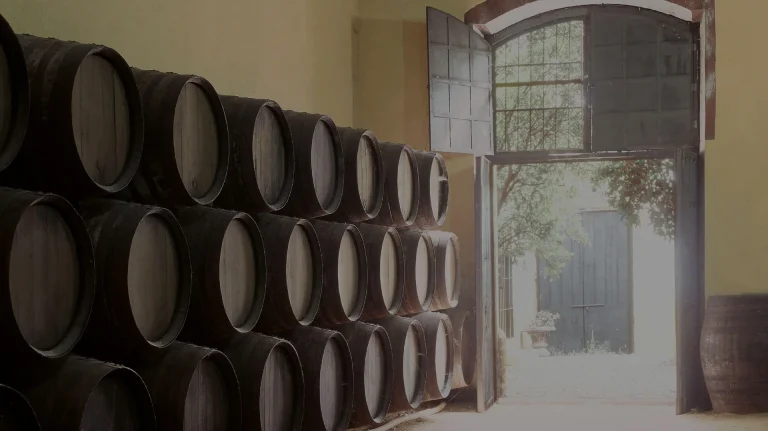 Qué es un vino generoso: tipos, diferencias y cómo servirlos