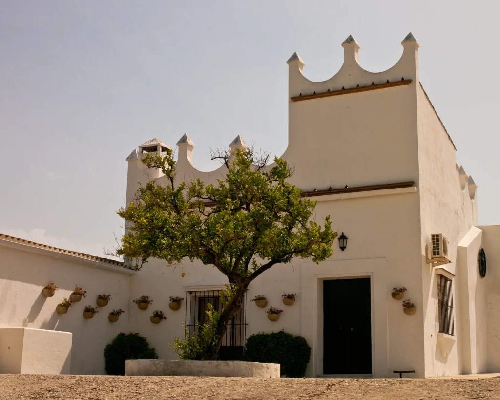 Bodega Finca Moncloa