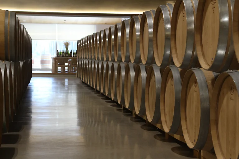 Bodega Garmón Continental