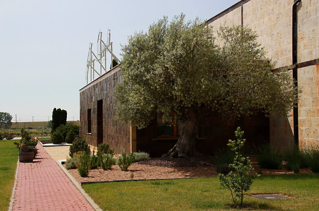 Bodega San Román